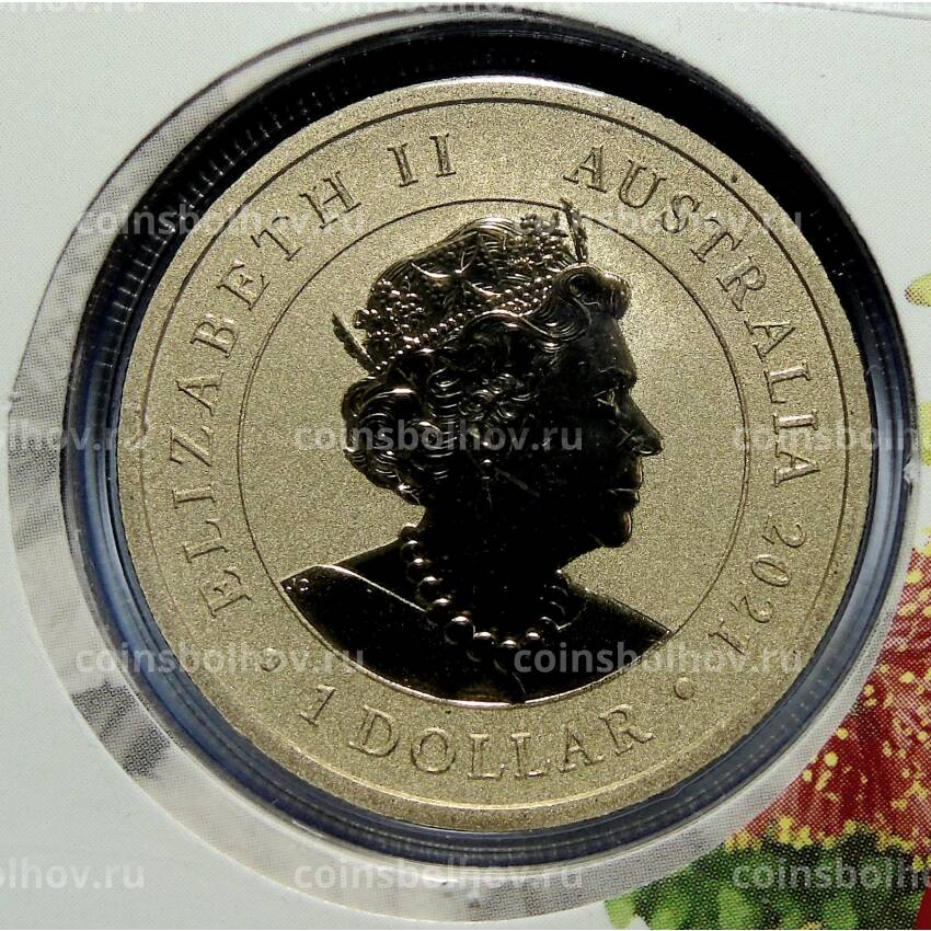 Монета 1 доллар 2021 года Австралия Спящие детёныши животных — Вомбат (в буклете) (вид 2)