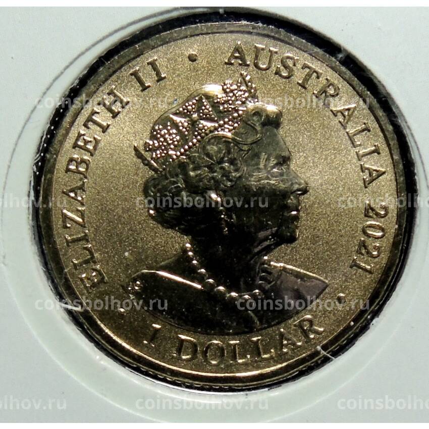 Монета 1 доллар 2021 года Австралия 150 лет Королевскому обществу по предотвращению жестокого обращения с животными — Лошадь (в конверте с маркой) (вид 2)
