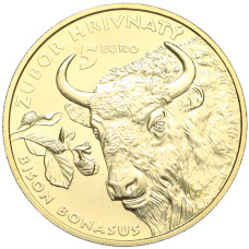 Монета 5 евро 2024 года Словакия «Зубр» (аверс)