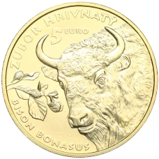 Монета 5 евро 2024 года Словакия «Зубр» (аверс)