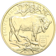 Монета 5 евро 2024 года Словакия «Зубр» (реверс)