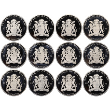 Набор из 12 монет 10 квача 2010 года Малави «Хищные птицы» (реверс)