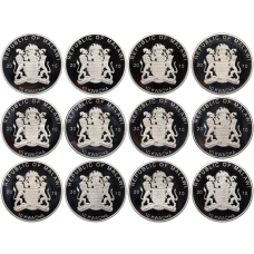 Набор из 12 монет 10 квача 2010 года Малави «Хищные птицы» (реверс)