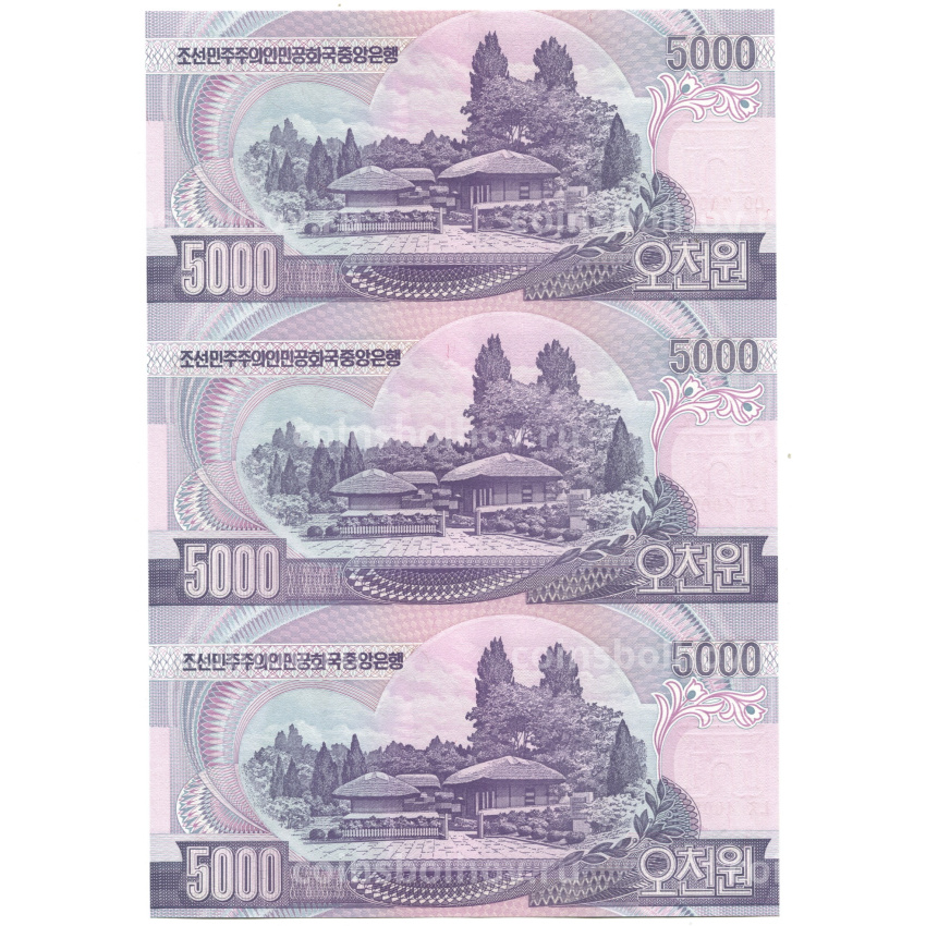 Банкнота 5000 вон 2006 года Северная Корея — Лист из трех банкнот (вид 2)