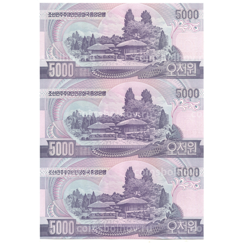 Банкнота 5000 вон 2006 года Северная Корея — Лист из трех банкнот (вид 2)
