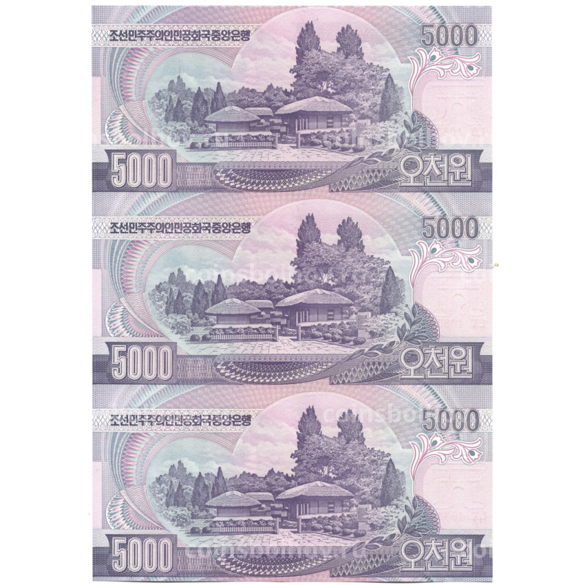 Банкнота 5000 вон 2006 года Северная Корея — Лист из трех банкнот (вид 2)