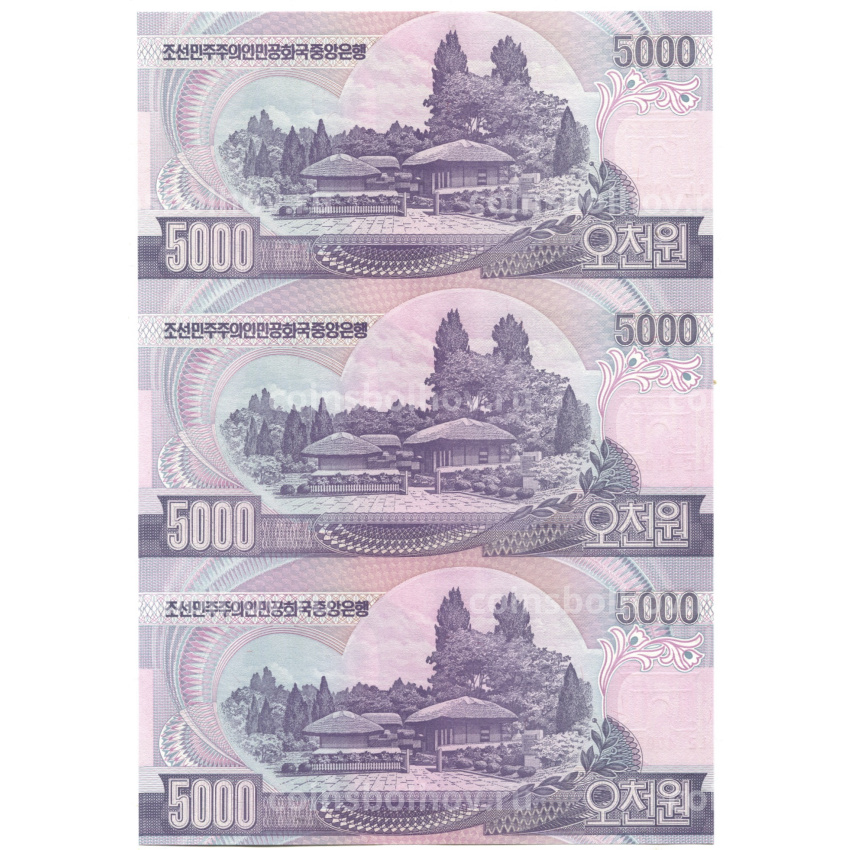 Банкнота 5000 вон 2006 года Северная Корея — Лист из трех банкнот (вид 2)