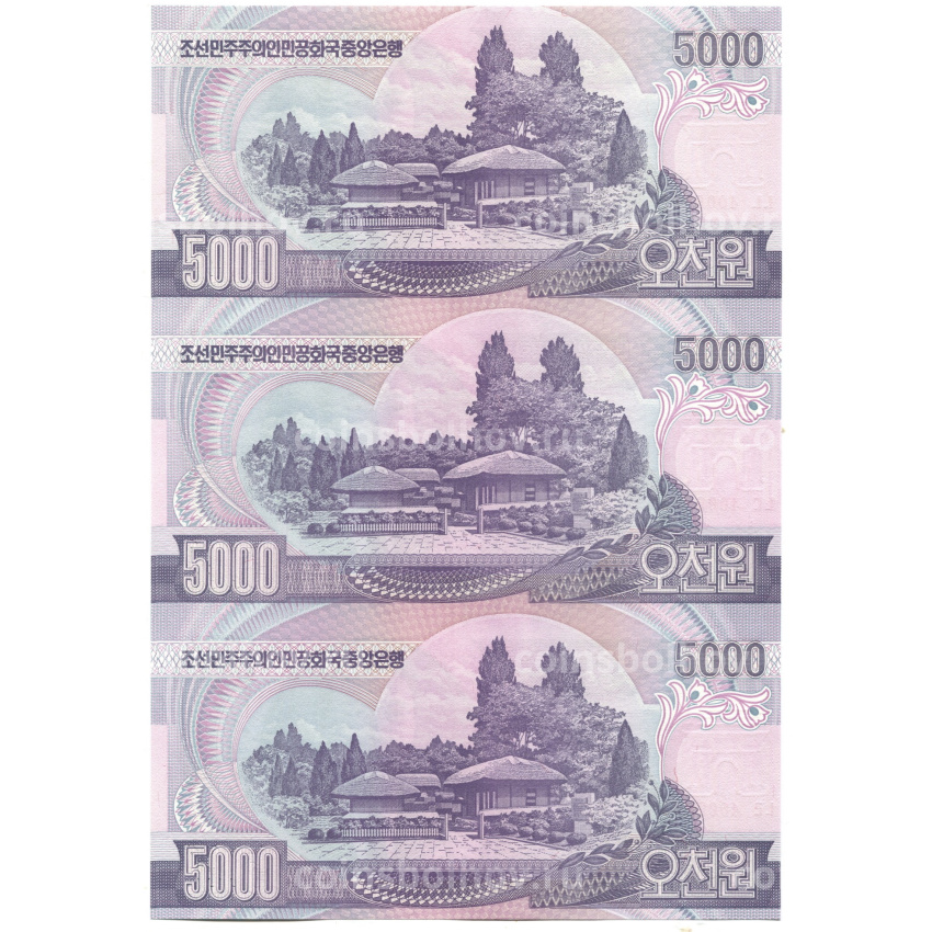 Банкнота 5000 вон 2006 года Северная Корея — Лист из трех банкнот (вид 2)