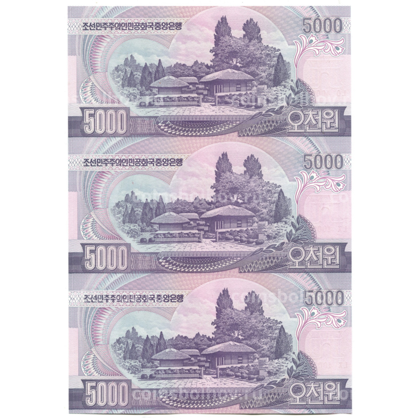 Банкнота 5000 вон 2006 года Северная Корея — Лист из трех банкнот (вид 2)