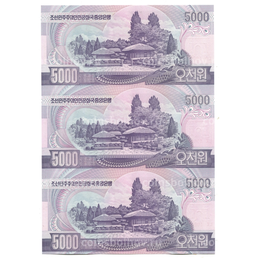 Банкнота 5000 вон 2006 года Северная Корея — Лист из трех банкнот (вид 2)