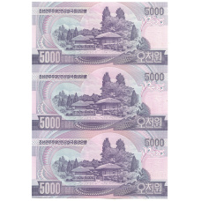 Банкнота 5000 вон 2006 года Северная Корея — Лист из трех банкнот (вид 2)