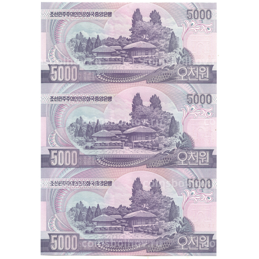 Банкнота 5000 вон 2006 года Северная Корея — Лист из трех банкнот (вид 2)