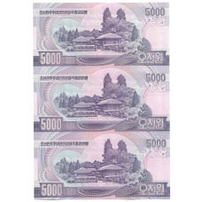 Банкнота 5000 вон 2006 года Северная Корея — Лист из трех банкнот (вид 2)