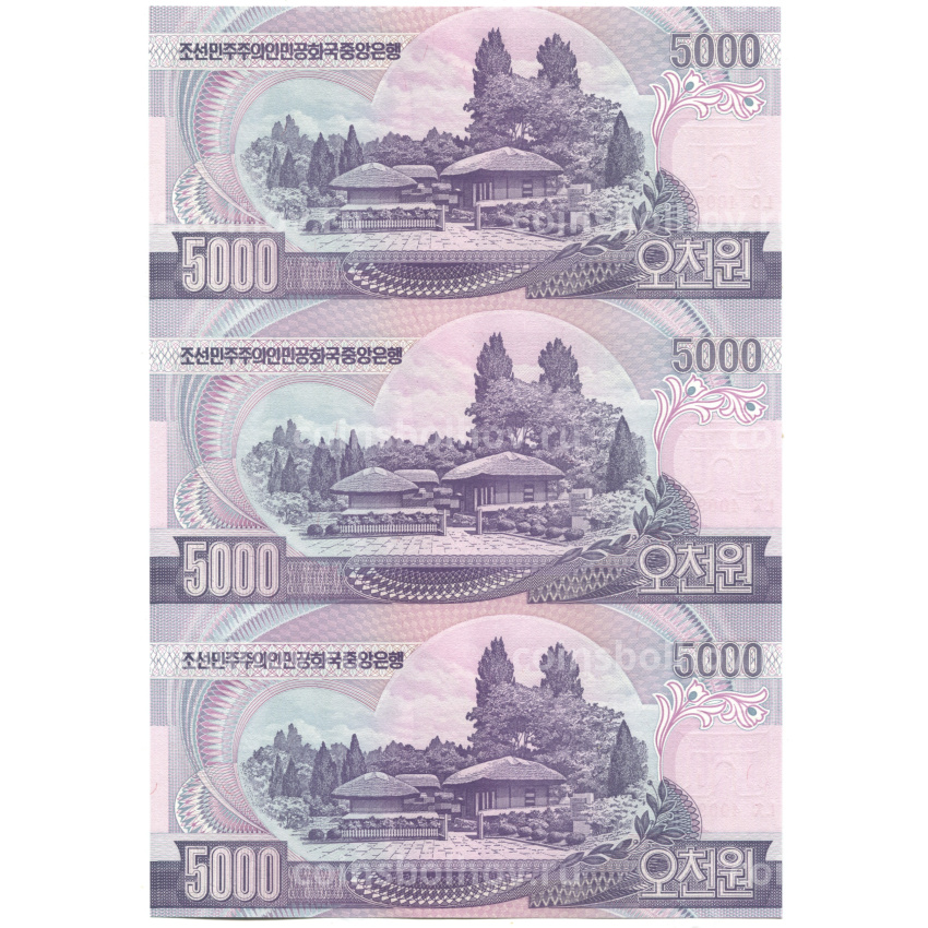Банкнота 5000 вон 2006 года Северная Корея — Лист из трех банкнот (вид 2)