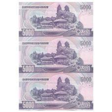 Банкнота 5000 вон 2006 года Северная Корея — Лист из трех банкнот (вид 2)
