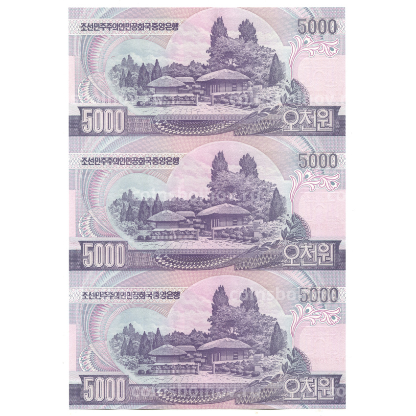 Банкнота 5000 вон 2006 года Северная Корея — Лист из трех банкнот (вид 2)