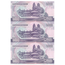 Банкнота 5000 вон 2006 года Северная Корея — Лист из трех банкнот (вид 2)