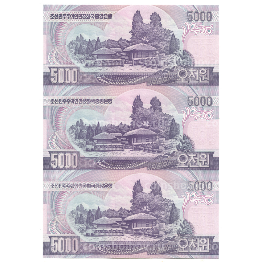 Банкнота 5000 вон 2006 года Северная Корея — Лист из трех банкнот (вид 2)