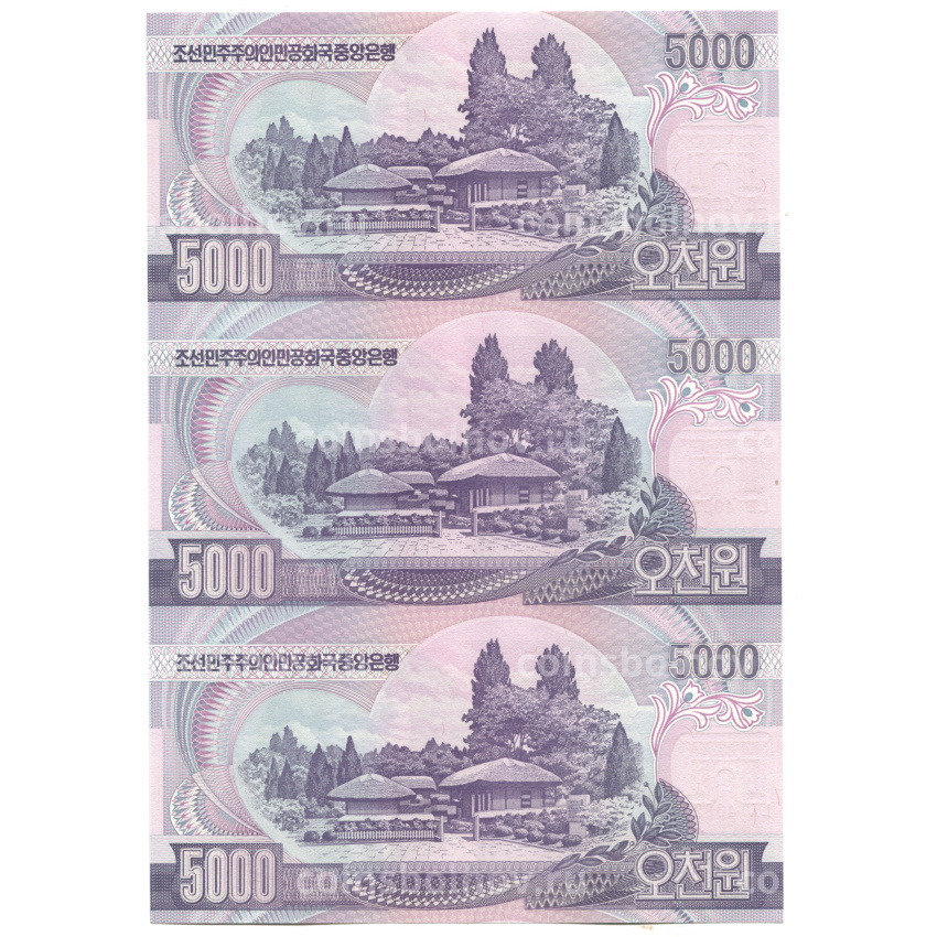 Банкнота 5000 вон 2006 года Северная Корея — Лист из трех банкнот (вид 2)