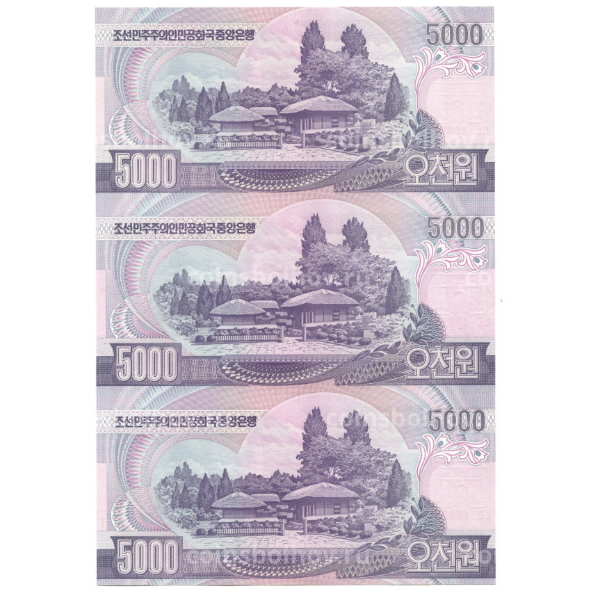 Банкнота 5000 вон 2006 года Северная Корея — Лист из трех банкнот (вид 2)