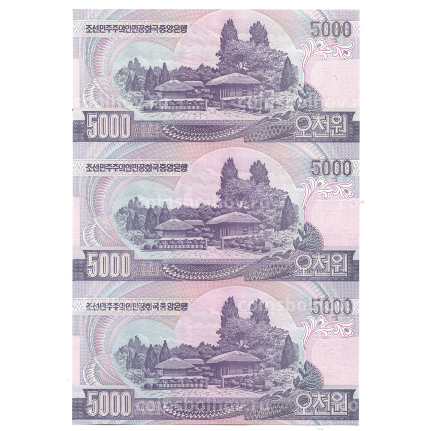 Банкнота 5000 вон 2006 года Северная Корея — Лист из трех банкнот (вид 2)