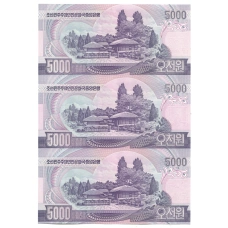 Банкнота 5000 вон 2006 года Северная Корея — Лист из трех банкнот (вид 2)