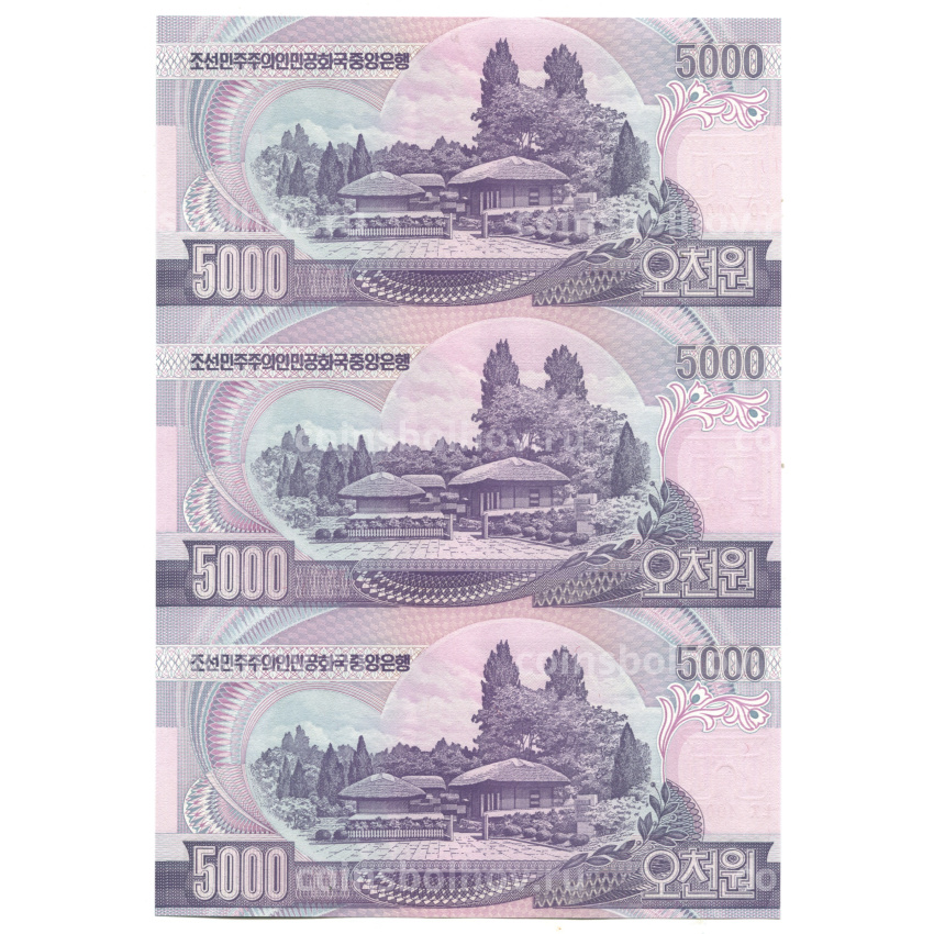 Банкнота 5000 вон 2006 года Северная Корея — Лист из трех банкнот (вид 2)