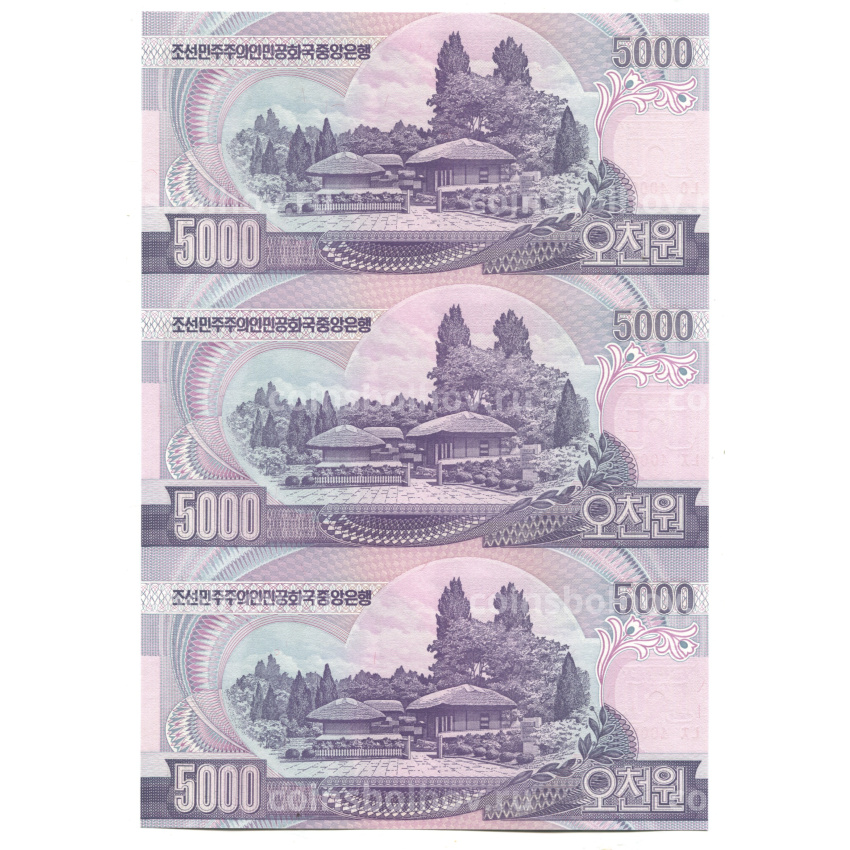 Банкнота 5000 вон 2006 года Северная Корея — Лист из трех банкнот (вид 2)
