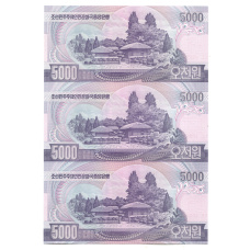 Банкнота 5000 вон 2006 года Северная Корея — Лист из трех банкнот (вид 2)