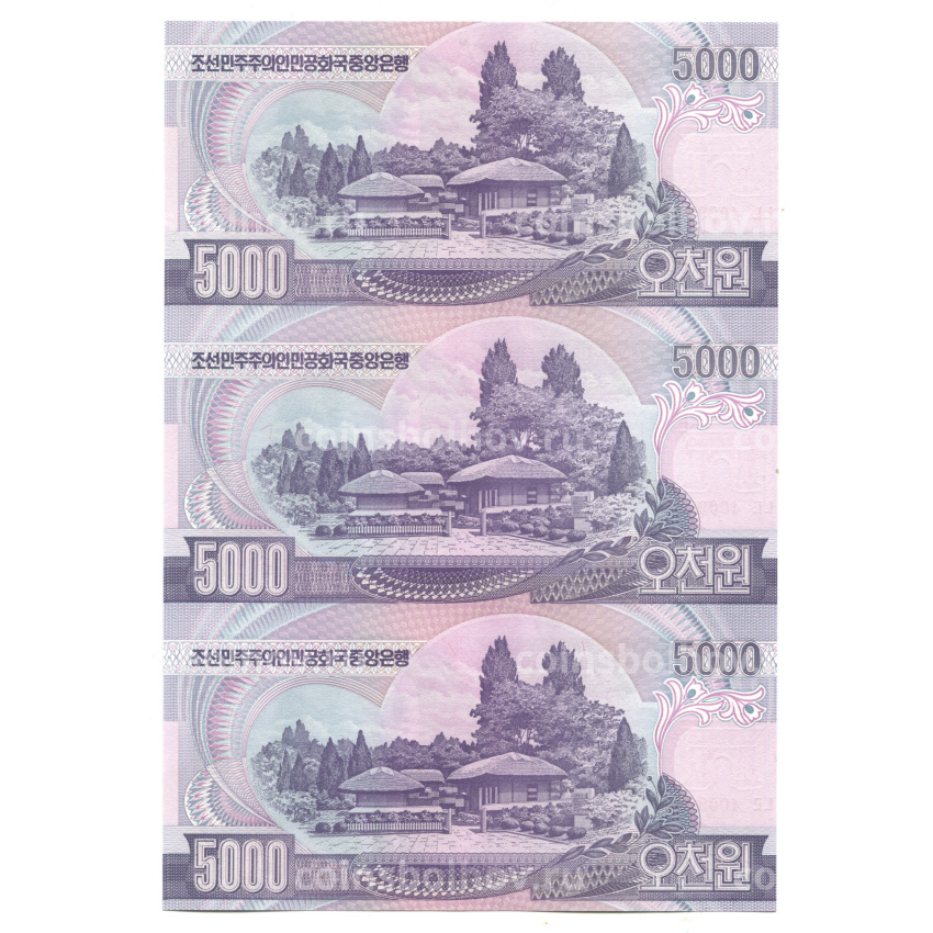 Банкнота 5000 вон 2006 года Северная Корея — Лист из трех банкнот (вид 2)