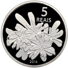 Монета 5 реалов 2014 года Бразилия «XXXI Олимпийские игры 2016 года в Рио- де-Жанейро — Гребной спорт» (в квадрокапсуле) (аверс)