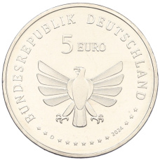 Монета 5 евро 2024 года D Германия «Чудесный мир насекомых — Жук-олень» (реверс)