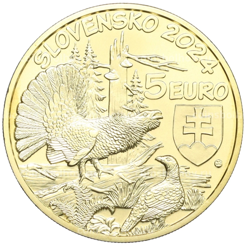 Монета 5 евро 2024 года Словакия «Глухарь» (вид 2)