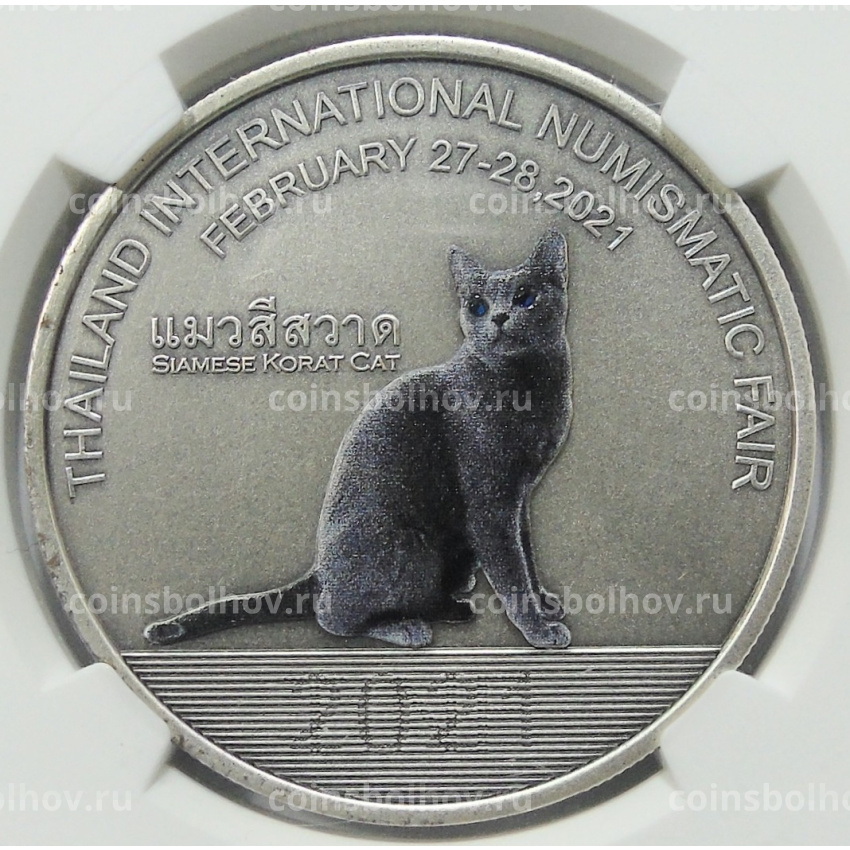 Настольная медаль 2021 года Китай «Международная нумизматическая выставка в Таиланде — Кошка породы Корат» (В слабе NGC MS69 ANTIQUIED)