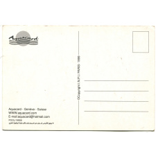 Открытка Водолазы (Aquacard) (реверс)