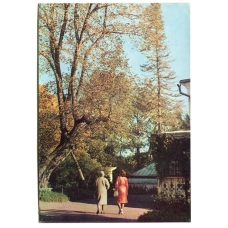 Открытка Музей-усадьба Ясная Поляна. Старый вяз — «дерево бедных» (аверс)