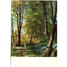 Открытка Музей-усадьба Ясная Поляна. Уголок нижнего парка (аверс)