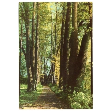 Открытка Музей-усадьба Ясная Поляна. Верхний парк «Клины» (аверс)