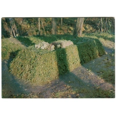 Открытка Музей-усадьба Ясная Поляна.Могила Л.Н.Толстого в лесу «Старом заказе» (аверс)