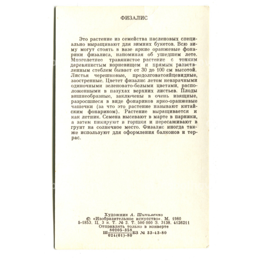 Открытка Физалис  Художник А.Шипиленко (вид 2)