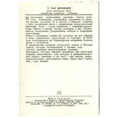 Открытка Алое древовидное (реверс)