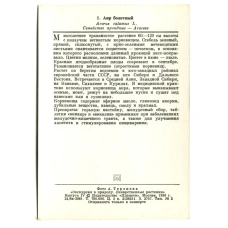 Открытка Аир болотный (реверс)