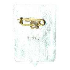 Значок Демянск (вид 2)