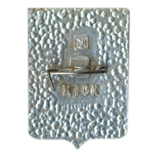 Значок Саранск (вид 2)