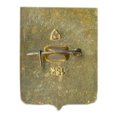 Значок Владимир (вид 2)