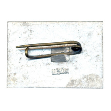 Значок Иркутск (вид 2)