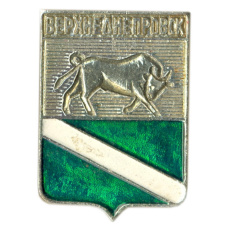 Значок Верхнеднепровск