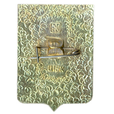 Значок Верхнеднепровск (вид 2)