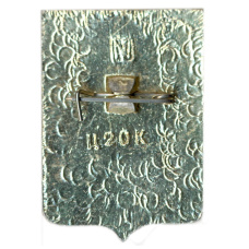 Значок Шацк (вид 2)