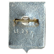 Значок Старая Русса (вид 2)